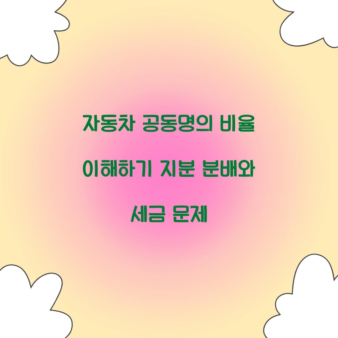 자동차 공동명의 비율