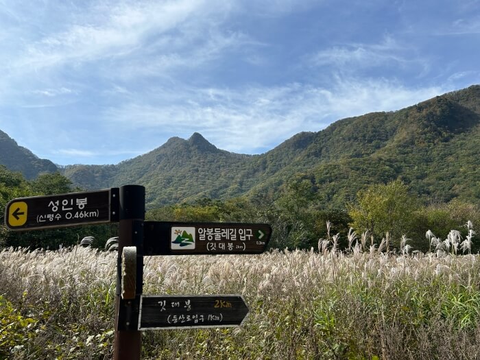 나리분지-억새밭