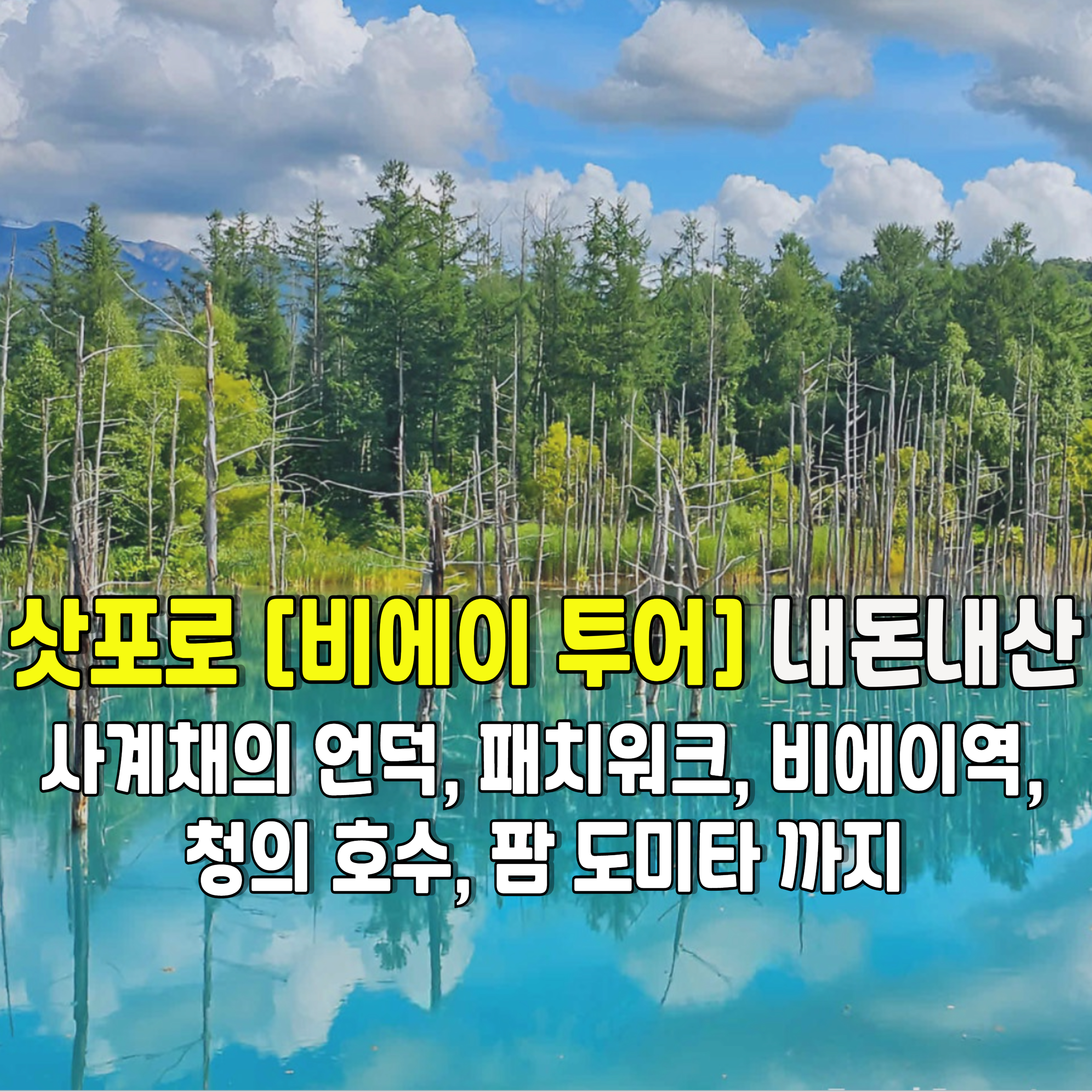 삿포로-비에이-투어-청의호수-1