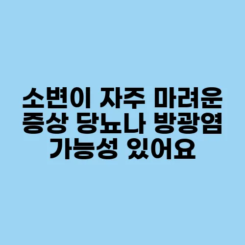 소변이 자주 마려운 증상 당뇨나 방광염 가능성 있어요