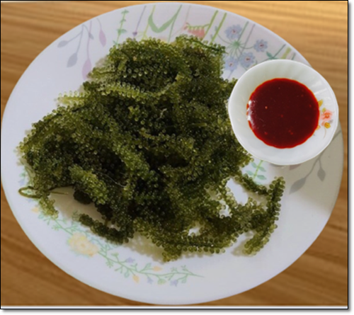 바다포도 음식
