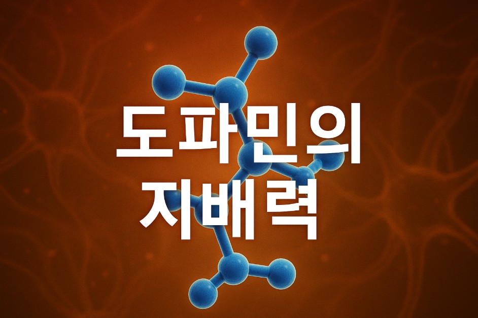 이미지는 붉은 신경망 배경 위에 푸른 3D 도파민 분자 구조가 선명하게 떠 있으며, 중앙에는 “도파민의 지배력”이라는 굵은 흰색 텍스트가 강조되어 있다. 배경은 뉴런처럼 보이는 빛의 흐름이 역동적으로 표현되어 있으며, 생화학적 에너지와 뇌 활동을 상징한다. 이 시각적 구성은 도파민이 인간의 행동과 동기에 미치는 강력한 영향력을 시각적으로 전달한다.