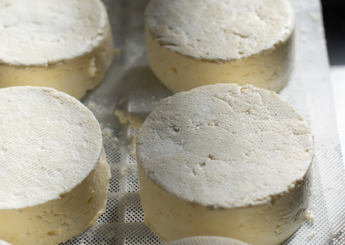 산양유 단백질 섭취방법