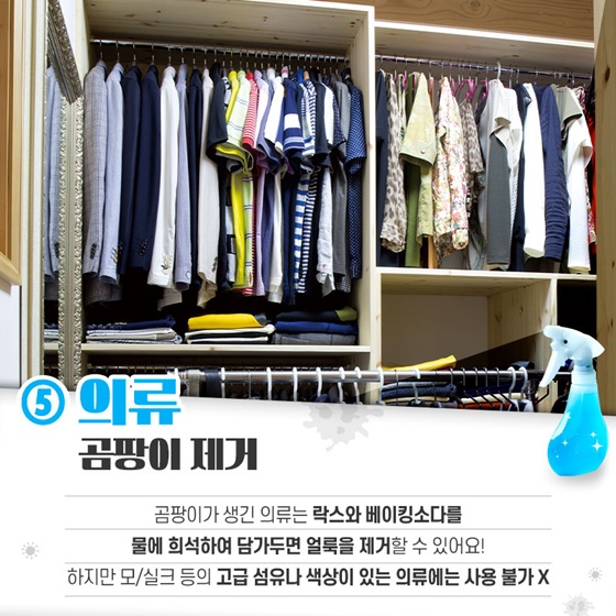 옷, 거실, 방, 화장실, 주방, 욕실, 에어컨 등 곰팡이 제거하는 5가지 방법