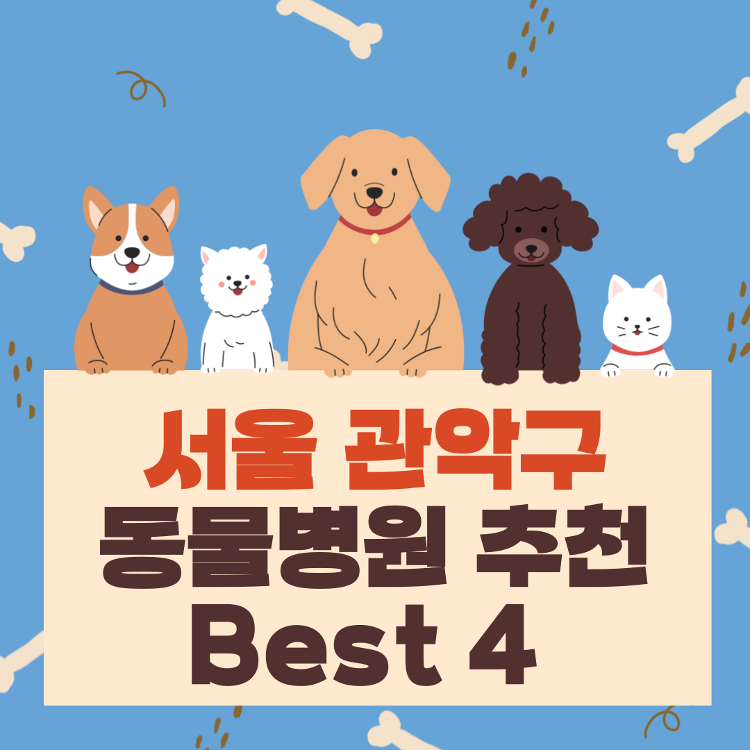 서울 관악구 동물병원 추천