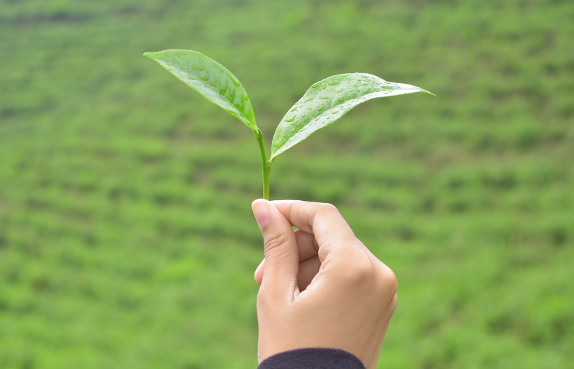 관절 건강 지키는 습관: 무릎과,허리 보호하는 법 관련 사진