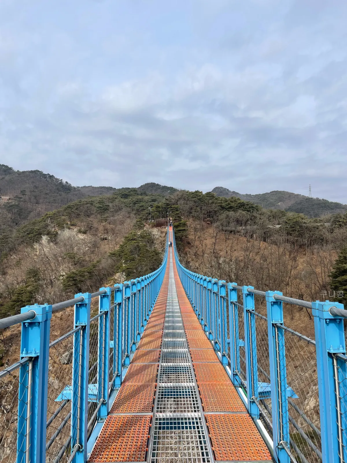 강원도-원주여행-소금산-출렁다리-주말-방문후기-산책로-소요시간,-또-가고싶은-이유