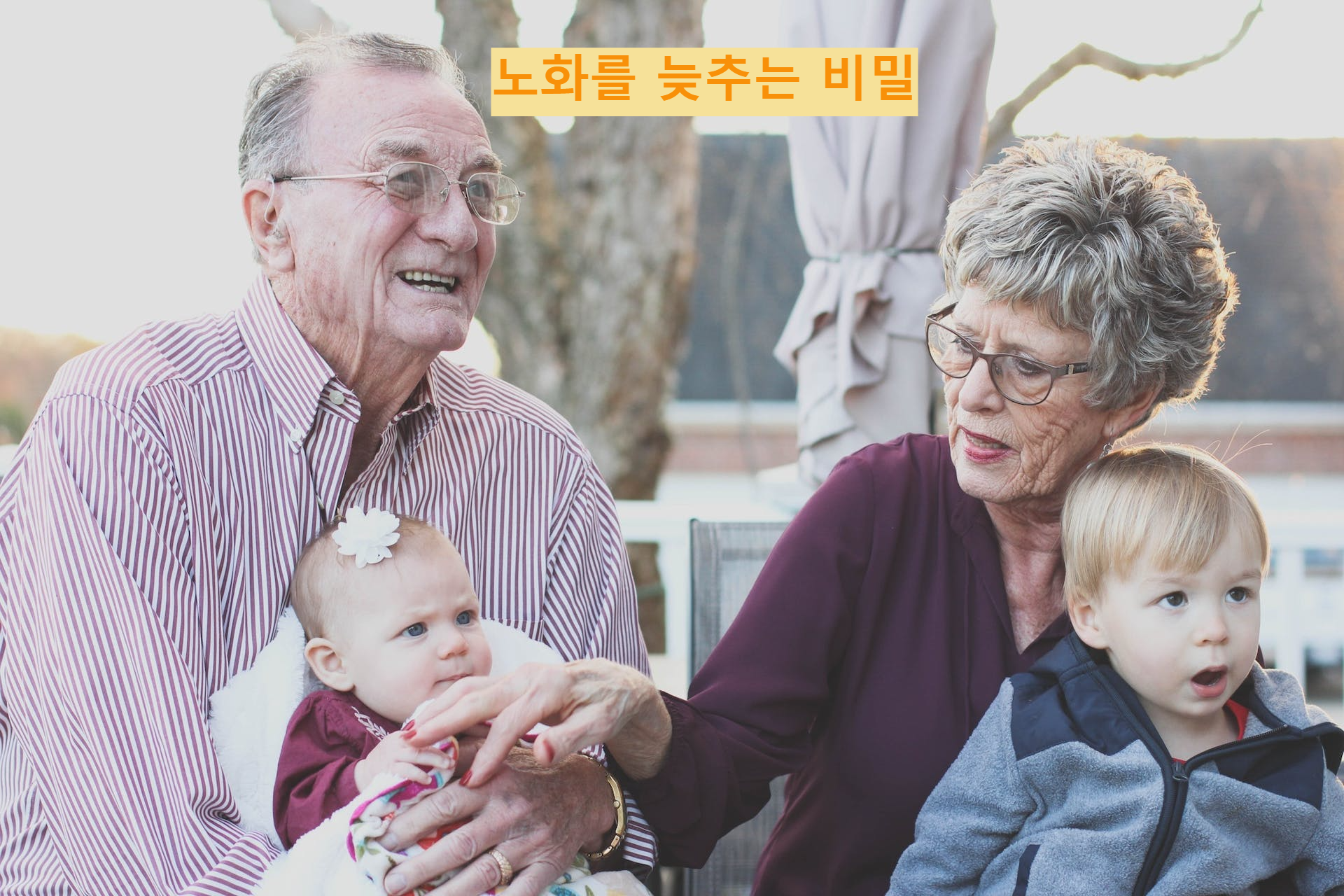 노화를 늦추는 비법