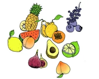 과일 이름 초성 퀴즈 모든 과일이름 총정리 자료집_4