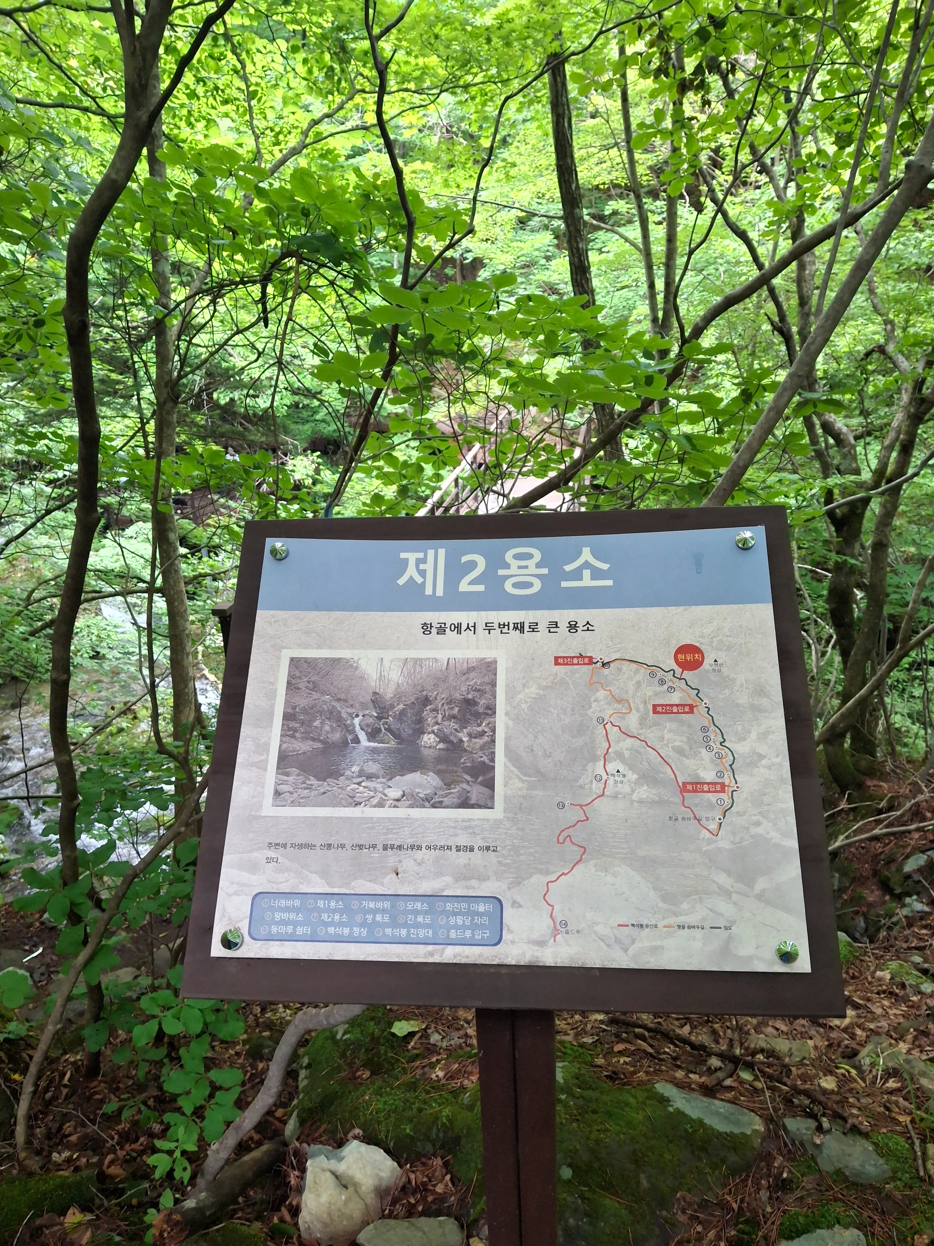 강원도 정선 항골 숨바우길 제2용소