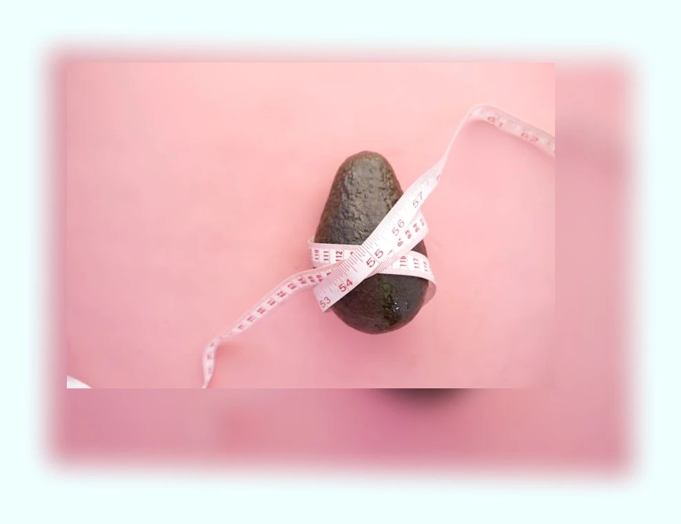 한방 다이어트_2_subsection