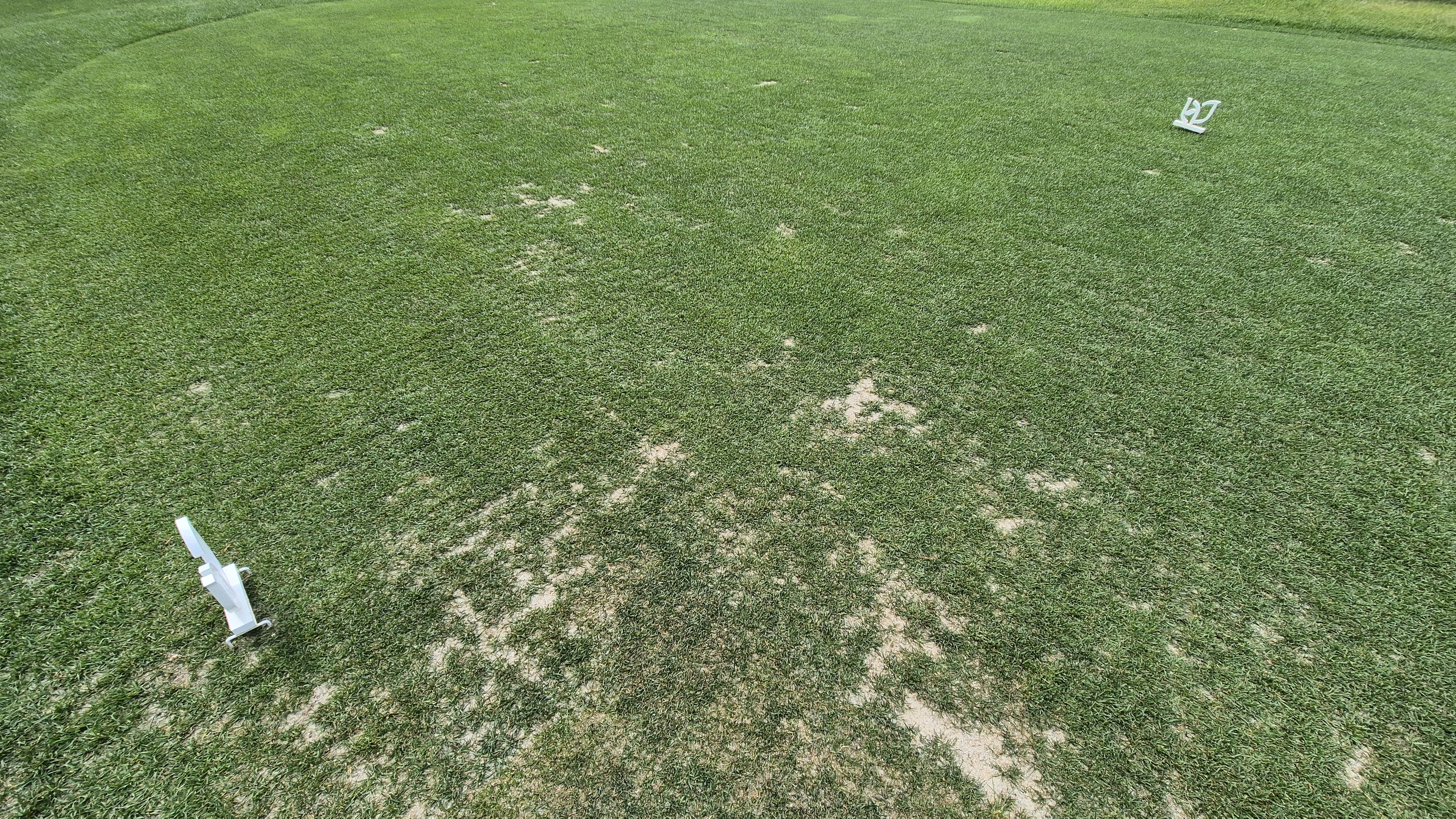 파인리즈cc 라운드 후기