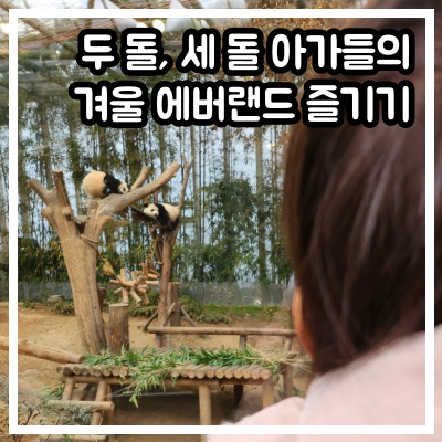두 돌, 세 돌 아기의 겨울 에버랜드 즐기기!