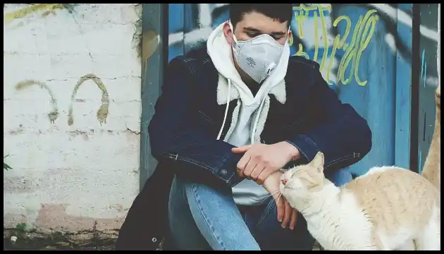 백일해 예방접종 가격 및 시기