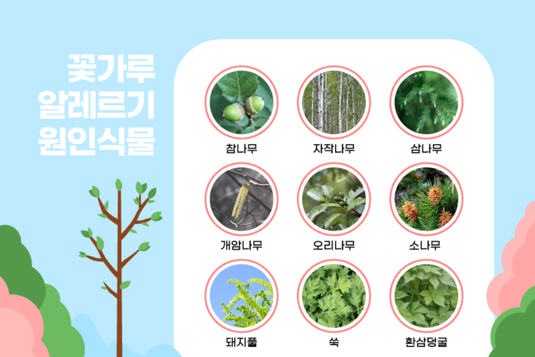 알레르기3