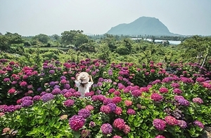 허브아일랜드 불빛동화축제