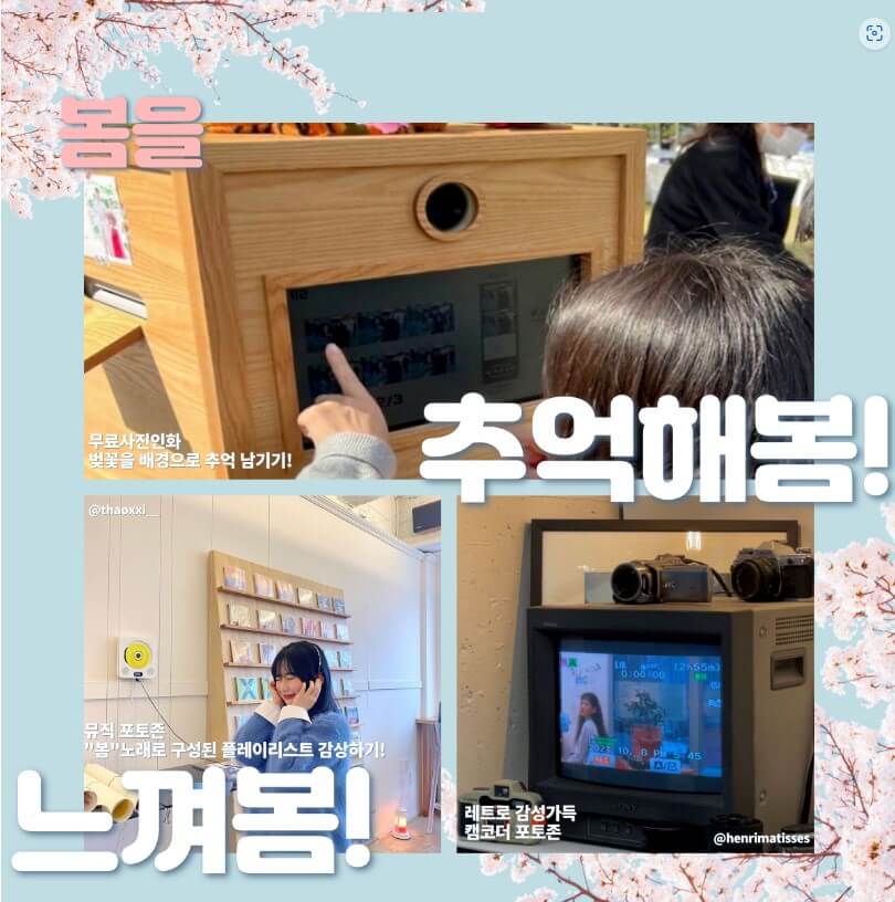 벚꽃 개화시기 2023, 벚꽃 명소 확인