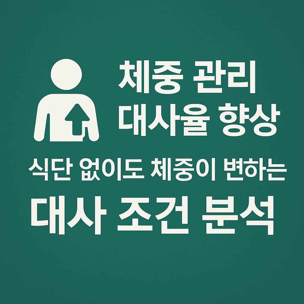 체중 관리 대사율 향상