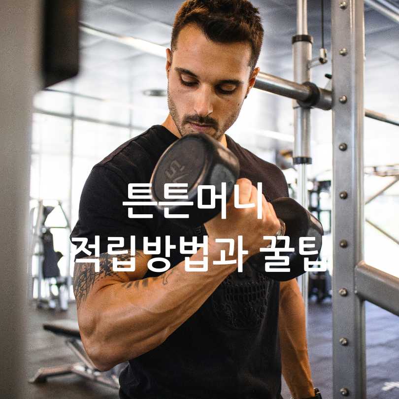 튼튼머니 적립방법과 꿀팁