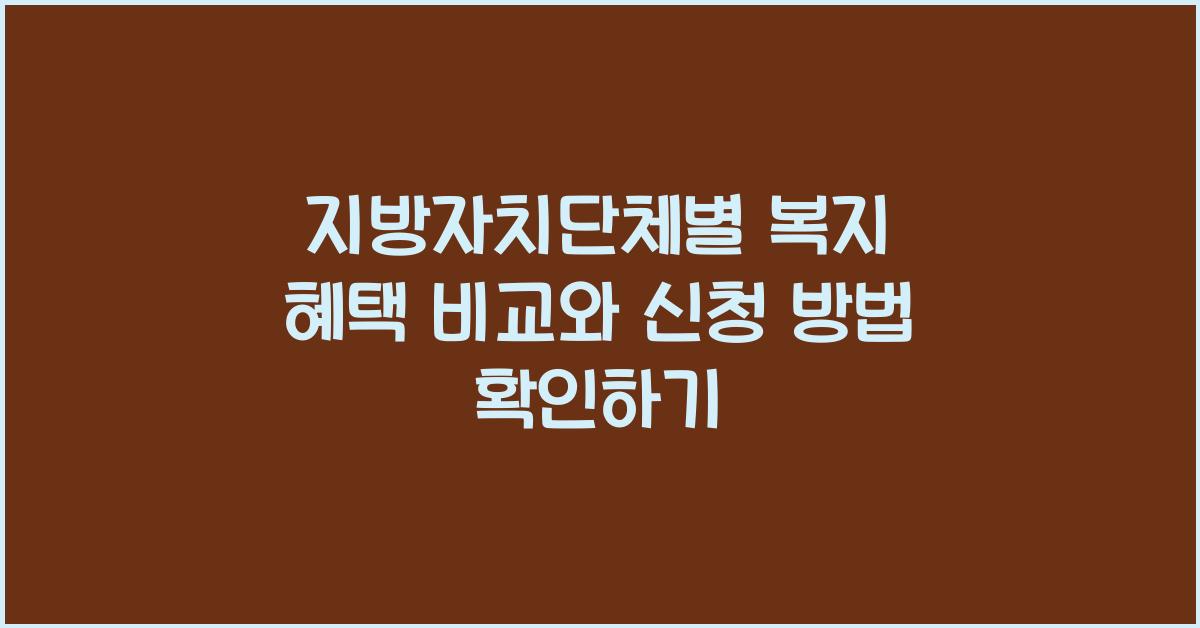 지방자치단체, 복지 혜택