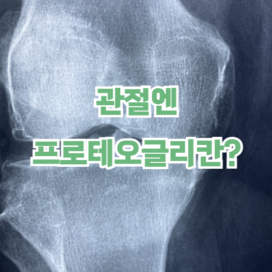 프로테오글리칸