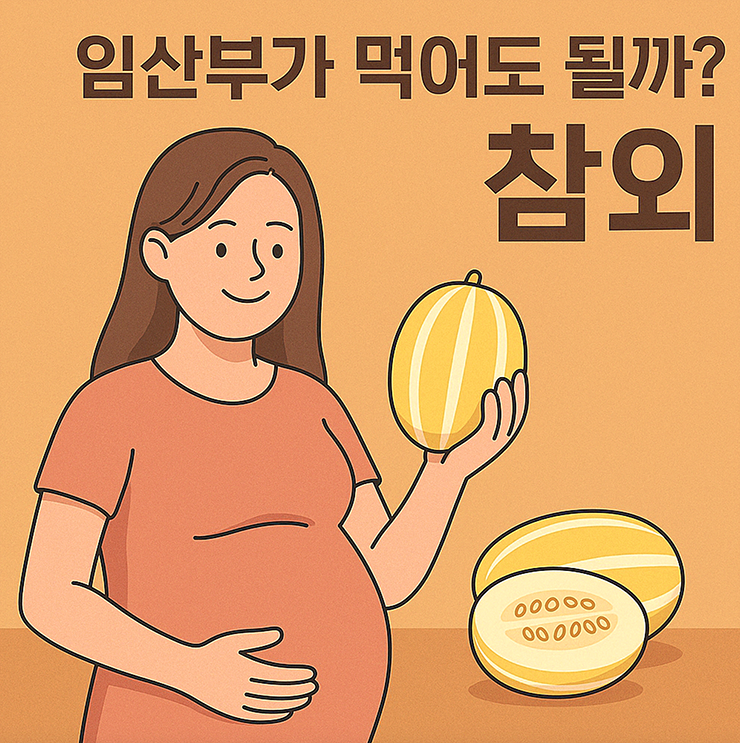 참외 임산부가 먹어도 될까?