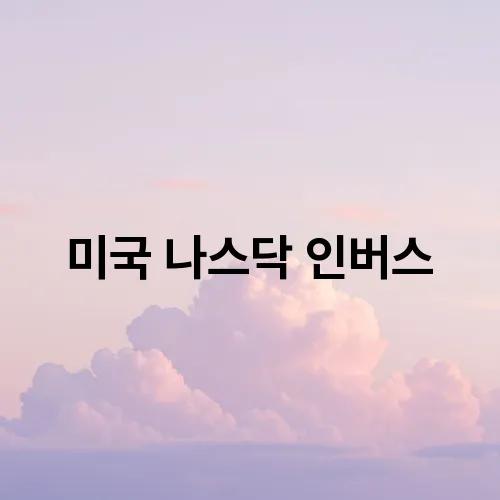 미국 나스닥 인버스