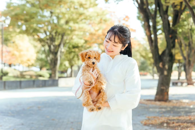 안겨있는 강아지