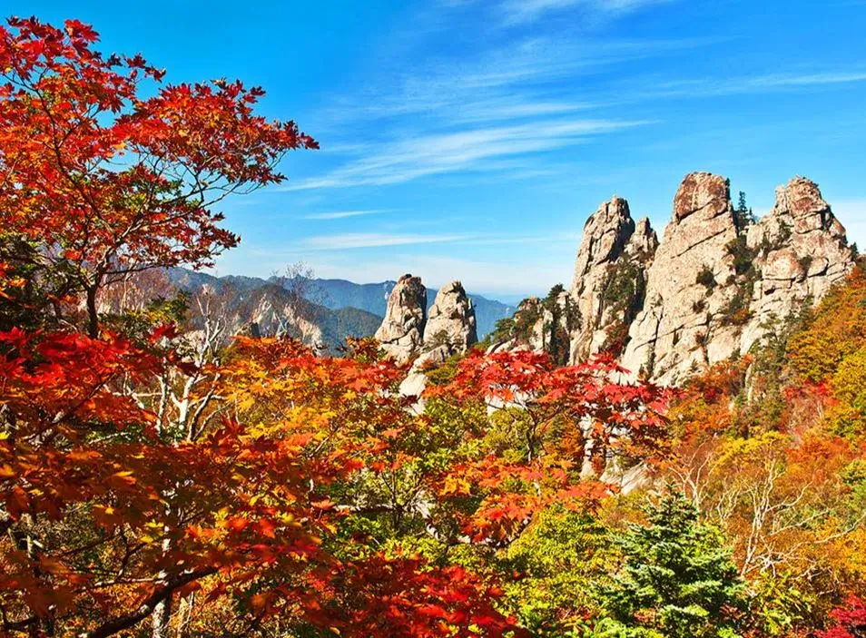 2024 설악산 단풍축제: 가을의 아름다움을 만끽하는 방법 🍂