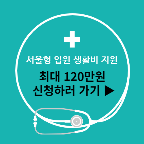 서울형 유급병가지원