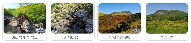 한라산 어리목탐방로 안내