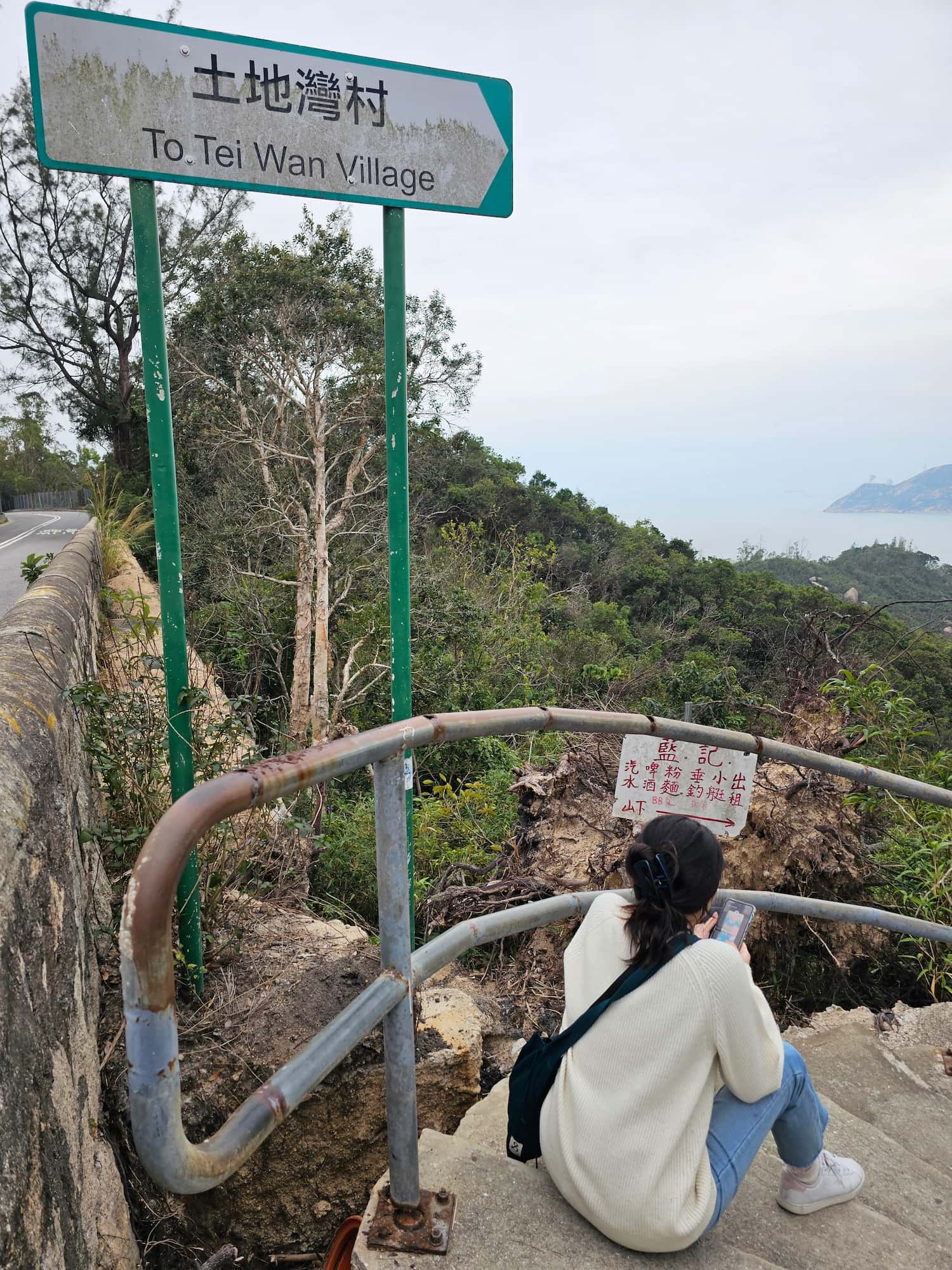 드래곤즈 백 후기