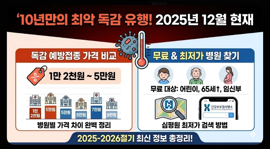 독감예방접종 가격비교,접종기간,3가 4가 백신차이