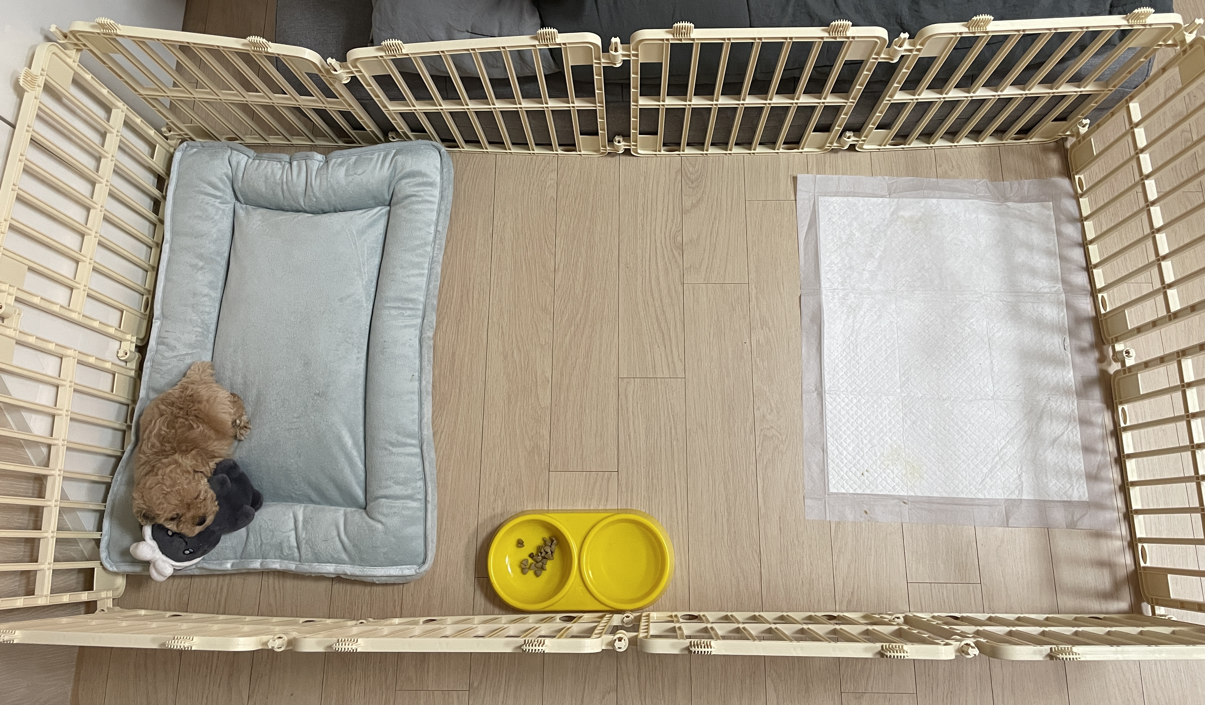 강아지 울타리 구조 배치