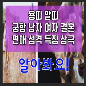 말띠 남녀 궁합 궁합표로 보는 결혼운 사랑운 종합 분석_14
