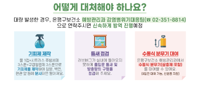 러브버그 퇴치법 및 대처 방법