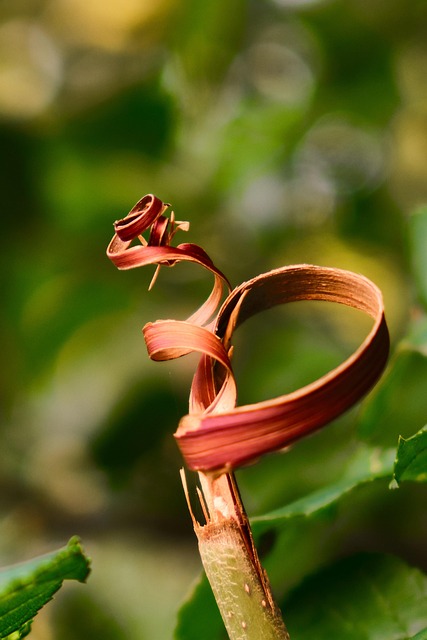 쿠팡 결제카드 변경 결제수단 삭제 방법