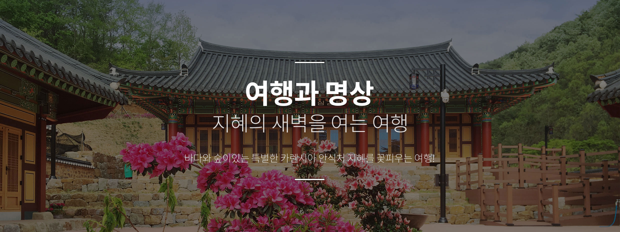 여명 정면 사진