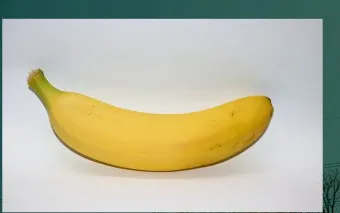 바나나 효능_20