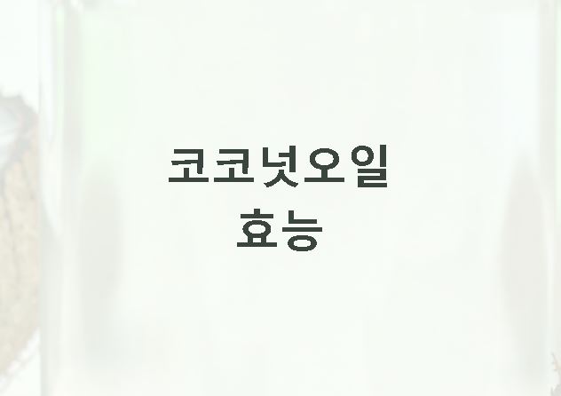 코코넛오일 효능