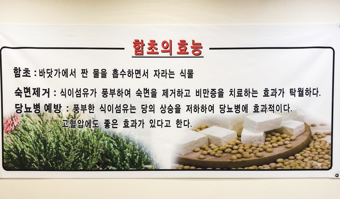함초 효능