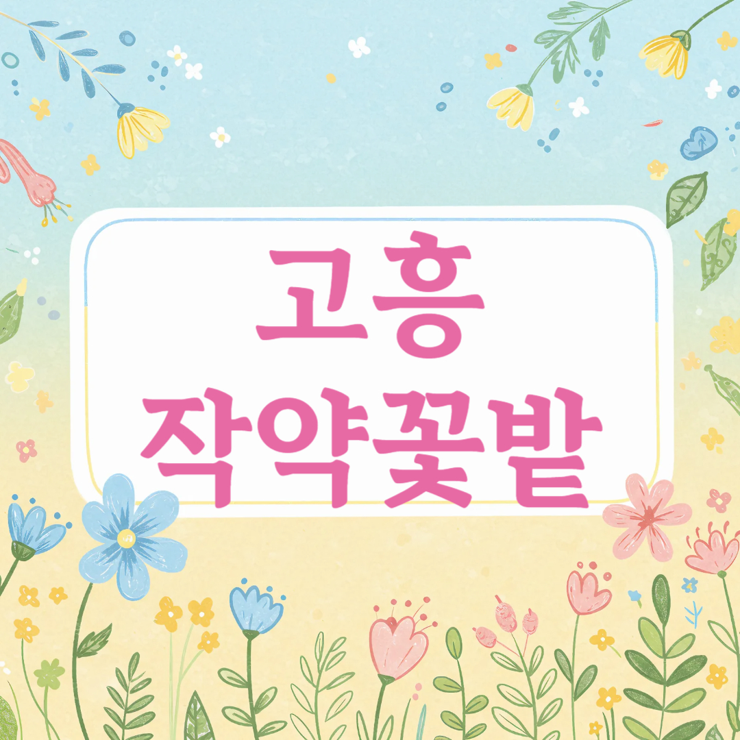 고흥 작약꽃밭