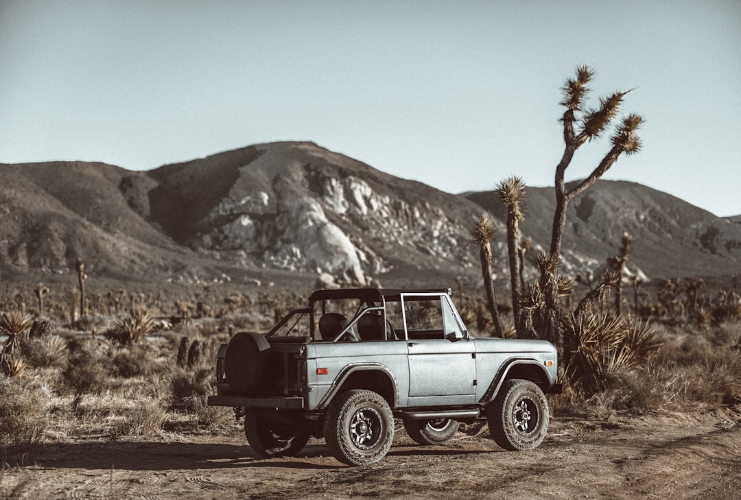 Bronco