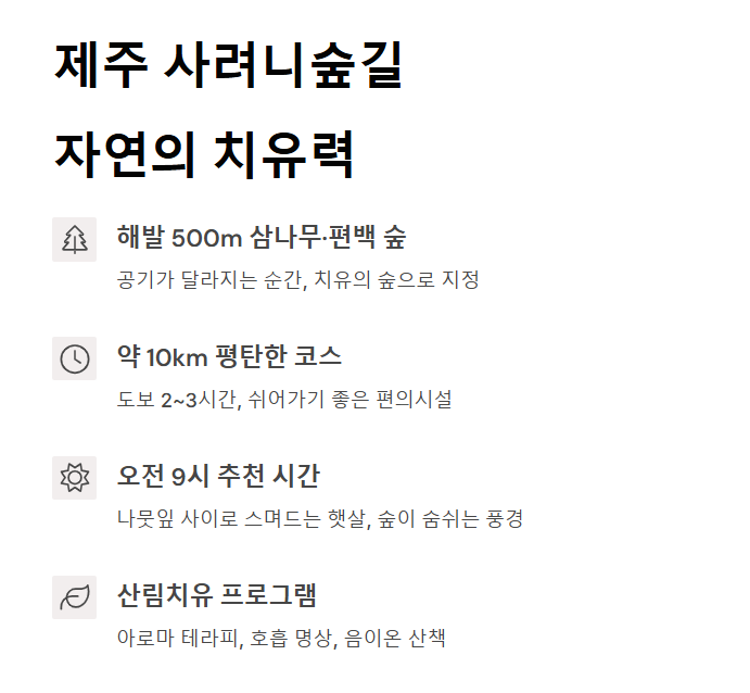 “혼자여도 괜찮다”… 쉼과 치유를 위한 웰니스 여행 추천지