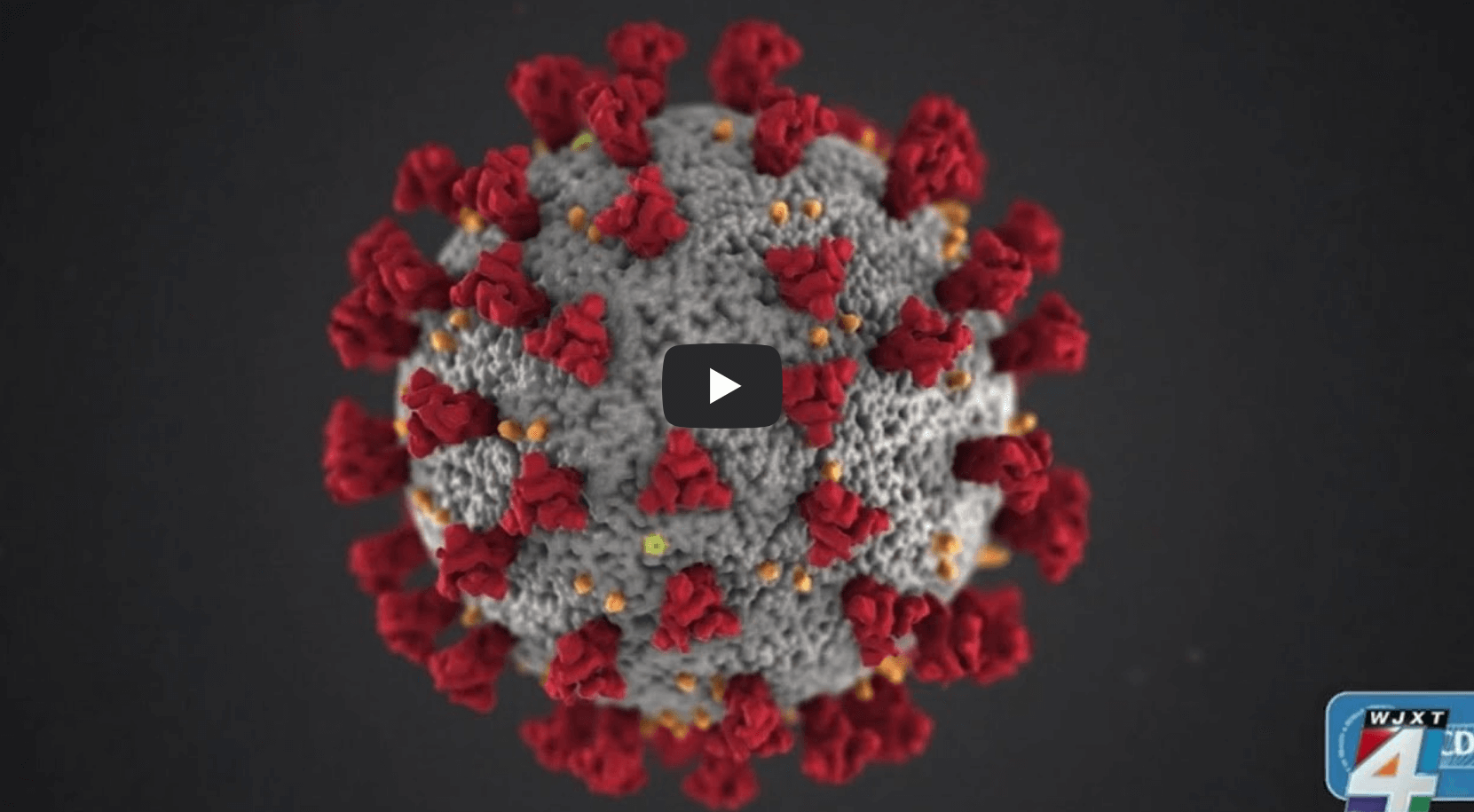 코로나19 변이 바이러스 관련 영상의 섬네일