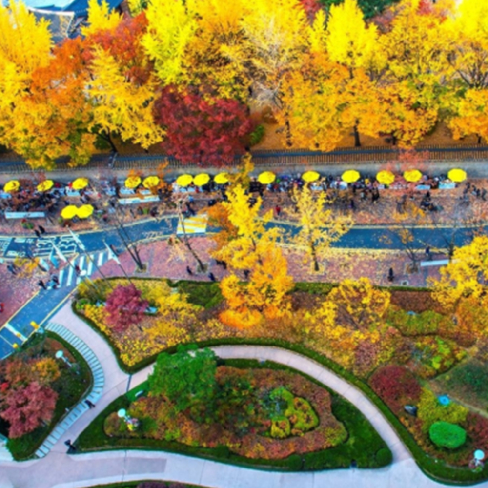 덕수궁 돌담길