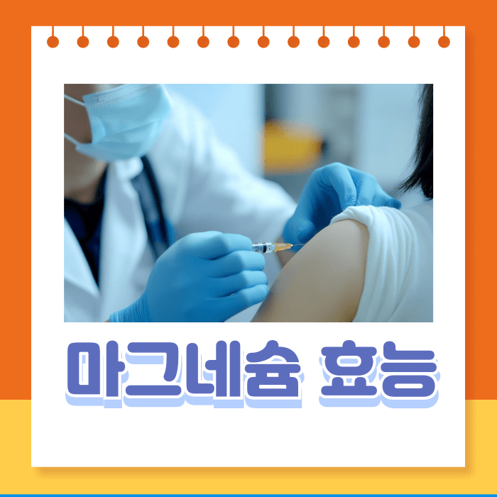 마그네슘 효능 부작용 마그네슘많은 음식