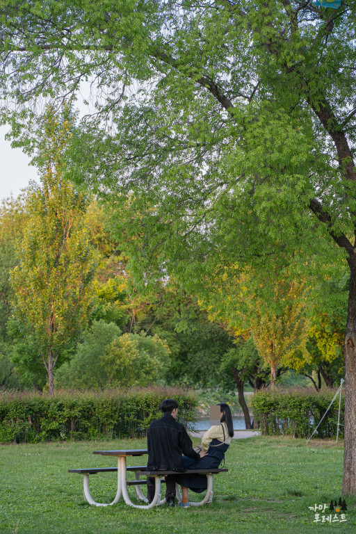 양화 한강공원 데이트