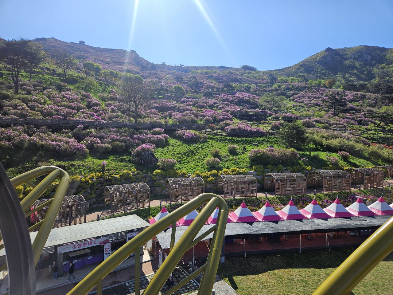 [5월 축제]2025 산청 황매산 철쭉제❘개요, 체험 프로그램 예약, 철쭉 실시간 개화상황