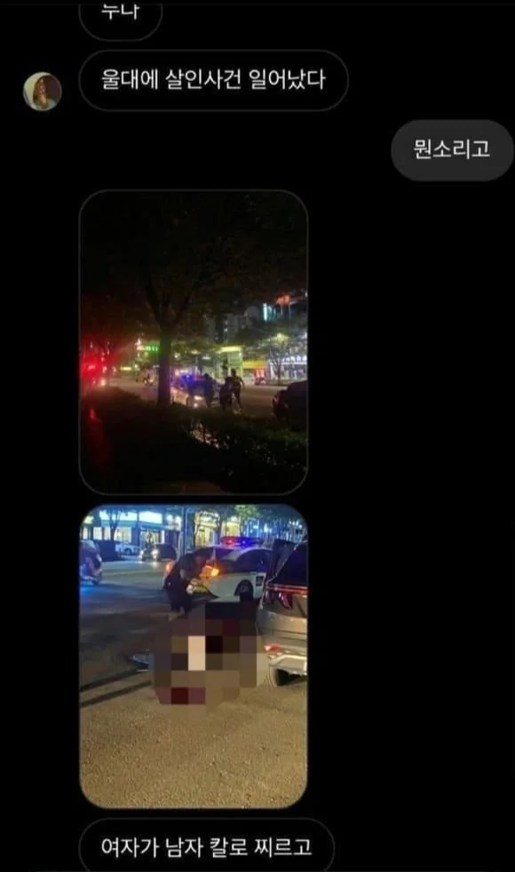 울산대 여자가 남자를 칼로 살해한 살인사건